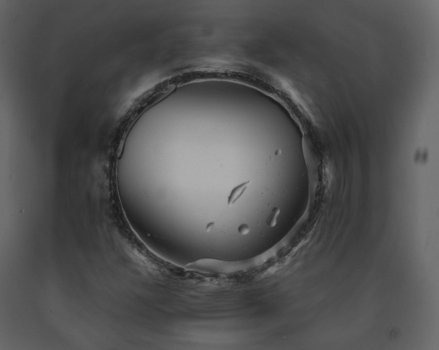 X0000091661304200708231256