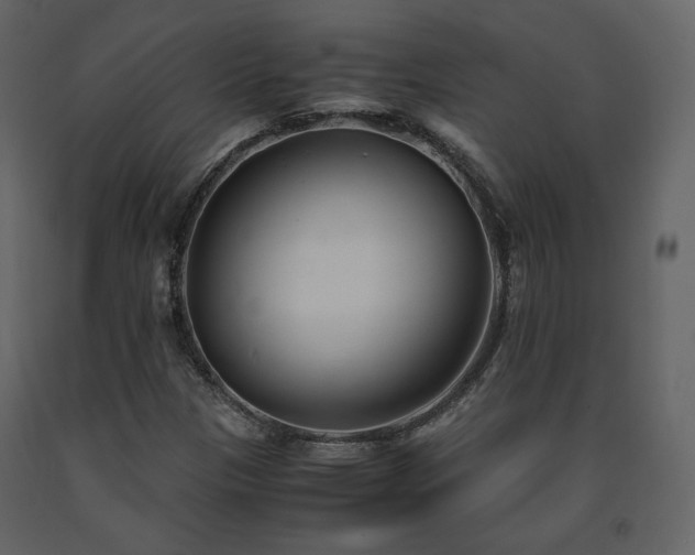 X0000091661305200708231256