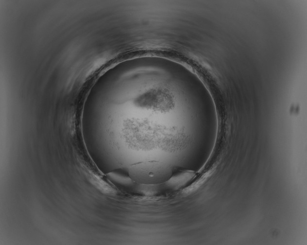 X0000091661306200708231256