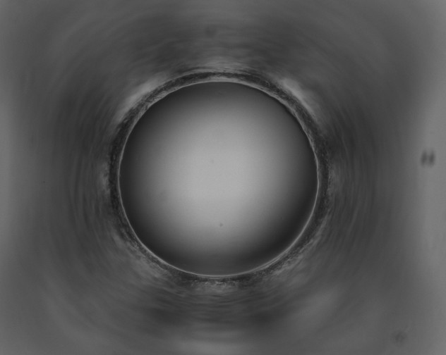 X0000091661307200708231256