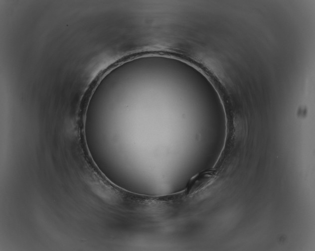 X0000091661308200708231256