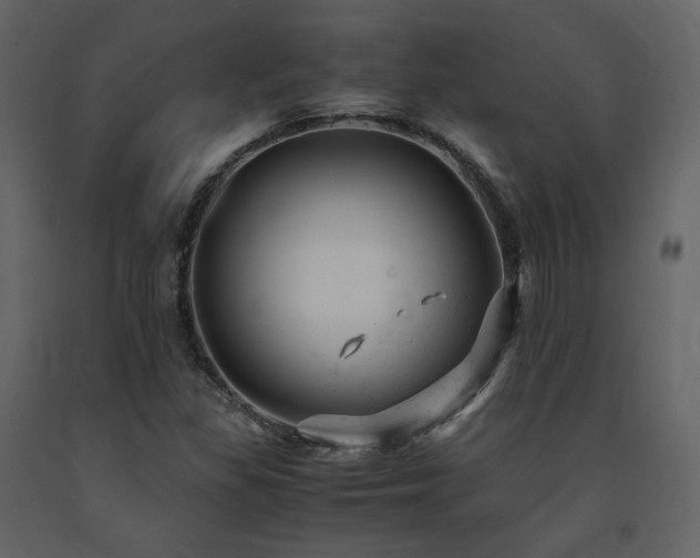 X0000091661309200708231256