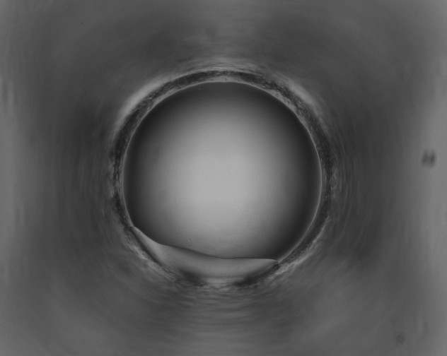 X0000091661310200708231256