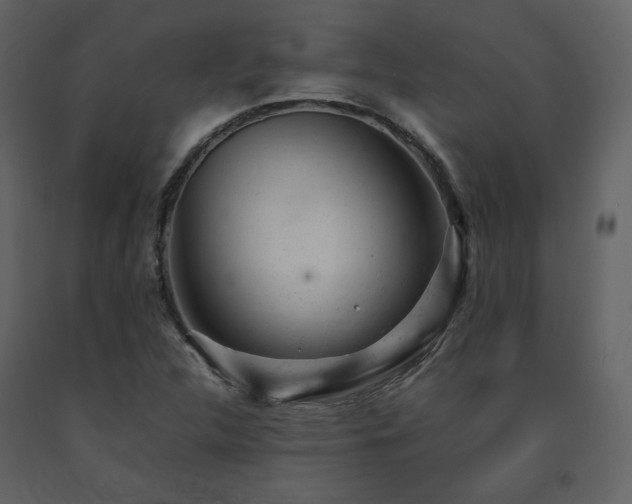 X0000091661312200708231256