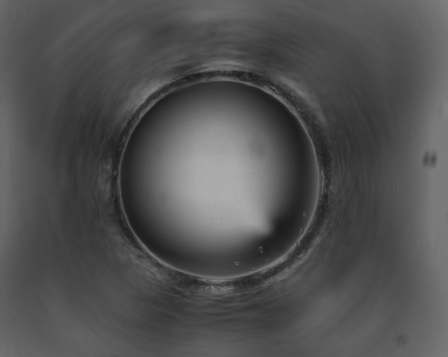 X0000091661313200708231256