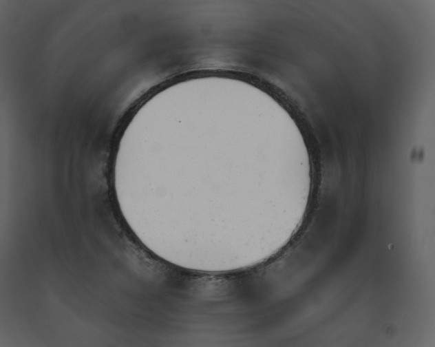 X0000091661314200708231256
