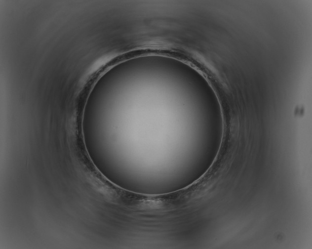 X0000091661315200708231256