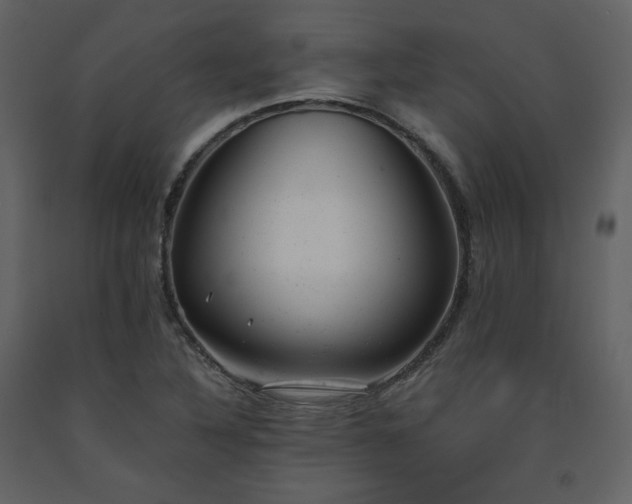 X0000091661316200708231256