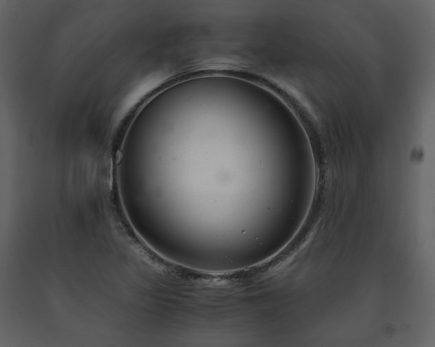 X0000091661317200708231256