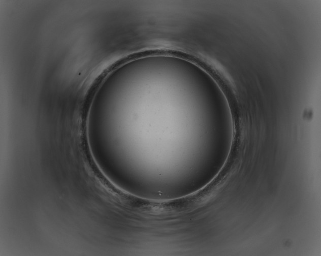 X0000091661318200708231256