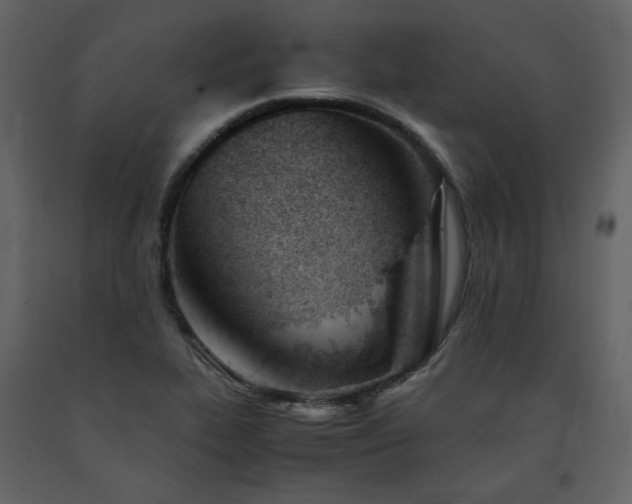 X0000091661319200708231256