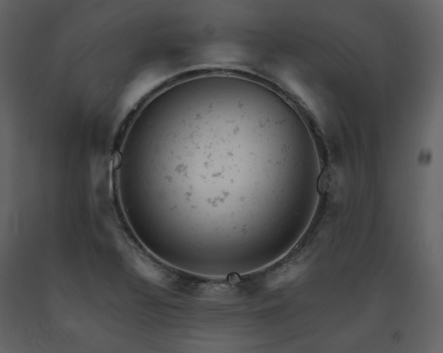 X0000091661320200708231256
