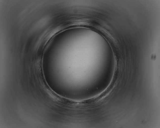 X0000091661321200708231256