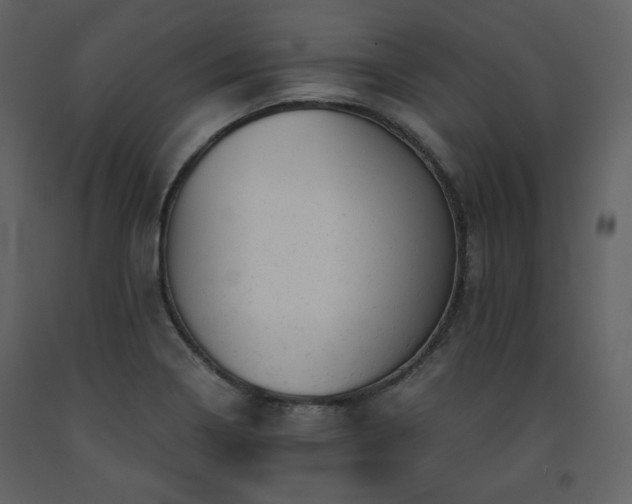 X0000091661322200708231256