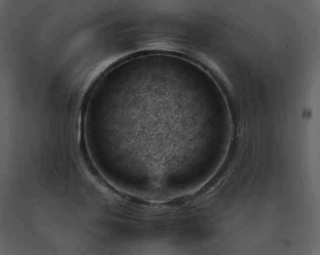 X0000091661323200708231256