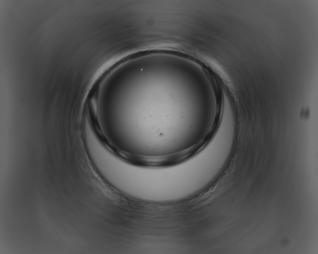 X0000091661324200708231256