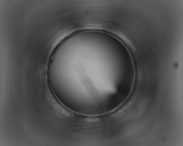 X0000091661325200708231256