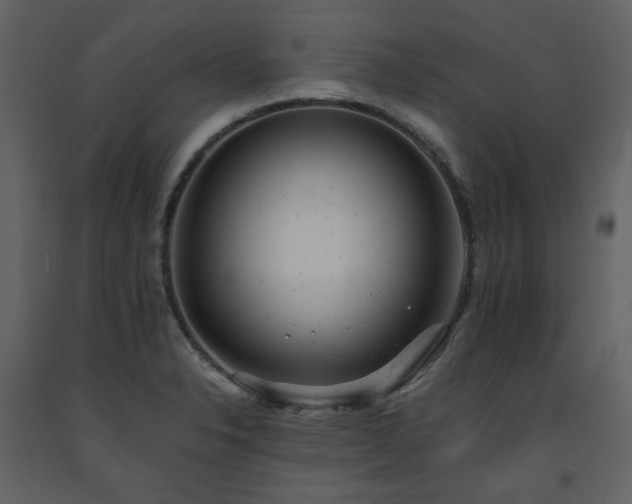 X0000091661326200708231256
