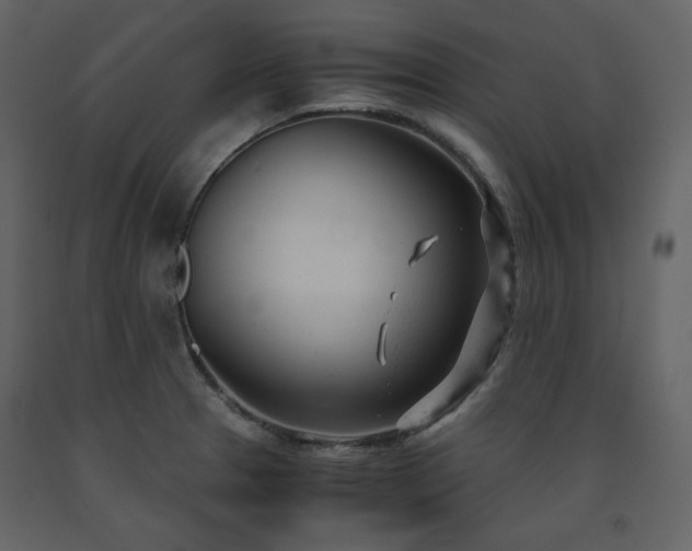 X0000091661329200708231256