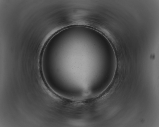 X0000091661331200708231256