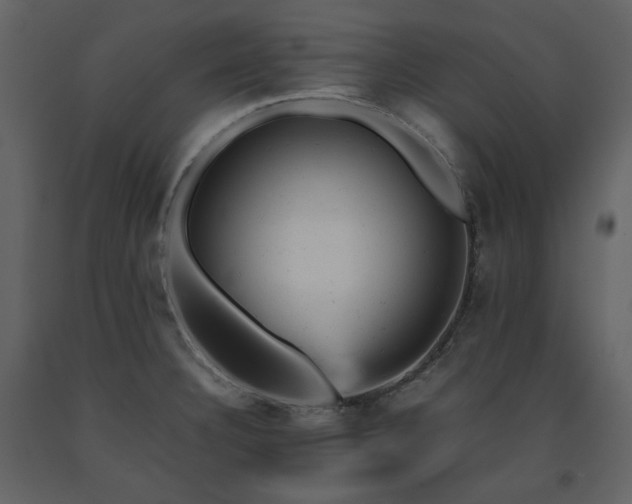 X0000091661332200708231256