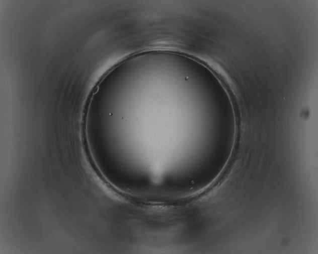 X0000091661333200708231256