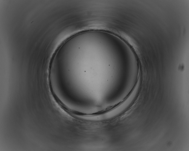 X0000091661334200708231256