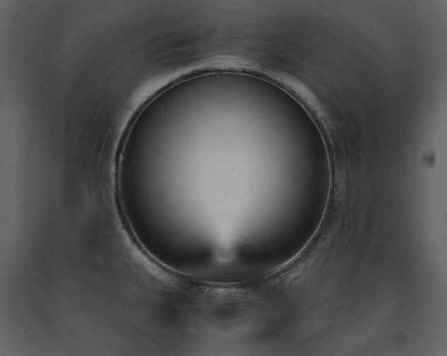X0000091661335200708231256