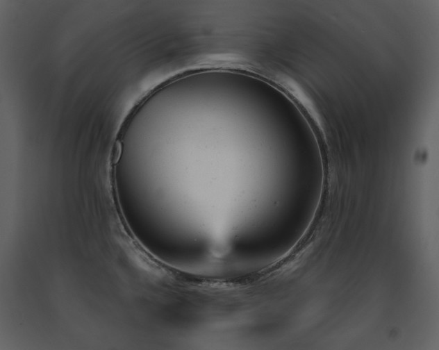 X0000091661336200708231256