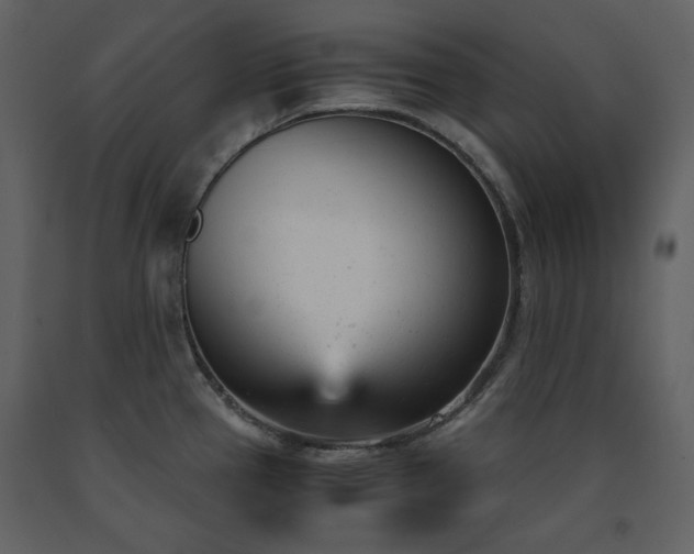X0000091661337200708231256