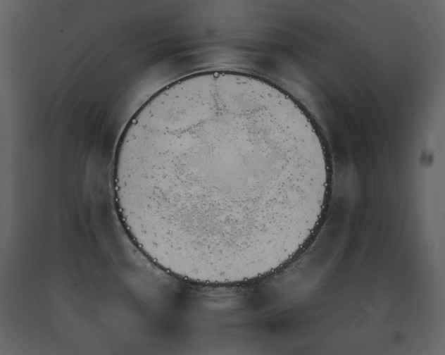 X0000091661338200708231256