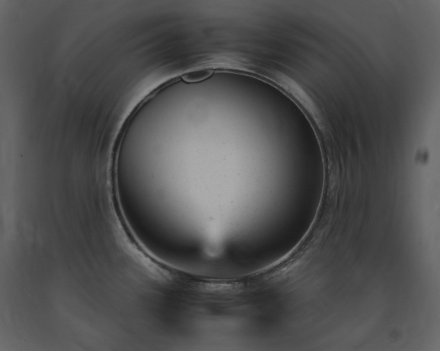 X0000091661339200708231256