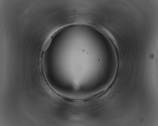 X0000091661340200708231256