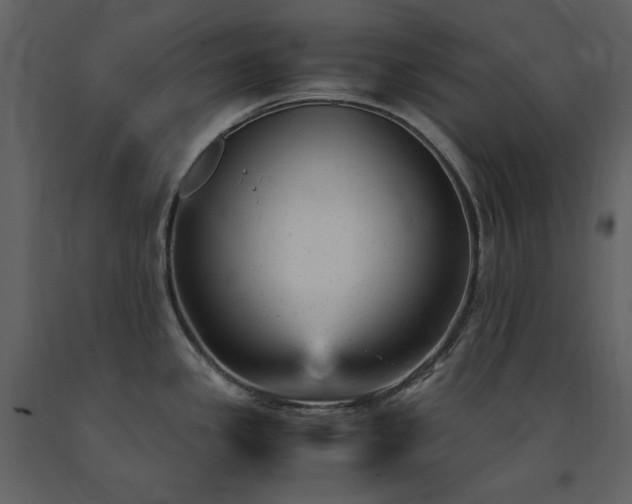 X0000091661341200708231256