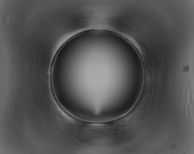 X0000091661343200708231256