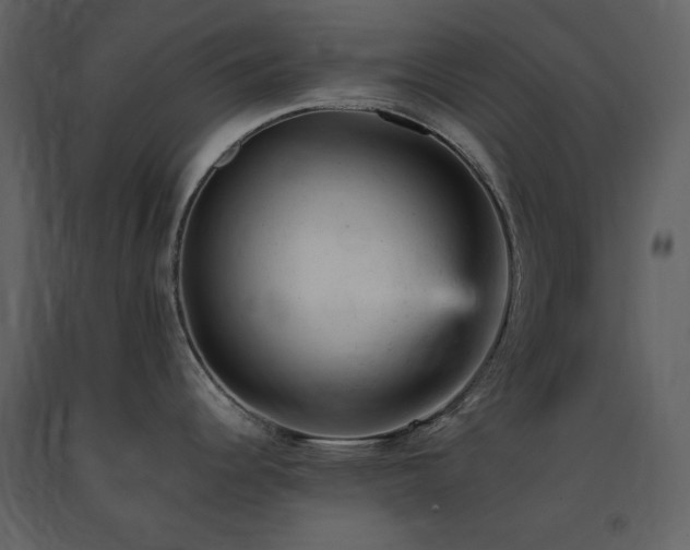 X0000091661344200708231256