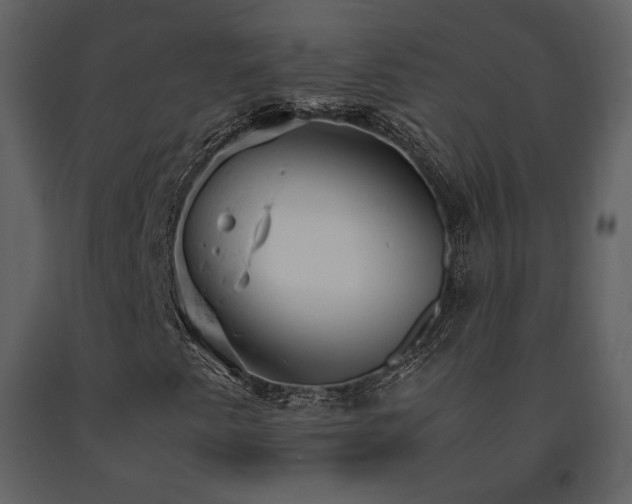 X0000091661345200708231256