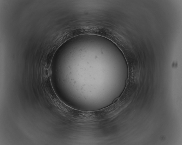 X0000091661346200708231256