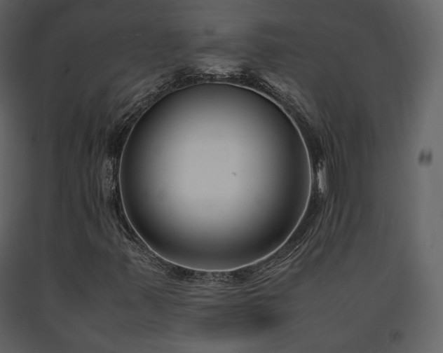 X0000091661347200708231256