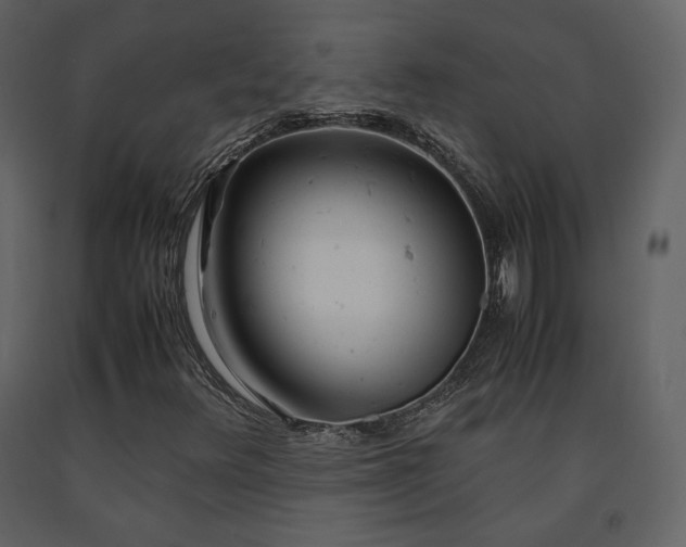 X0000091661348200708231256