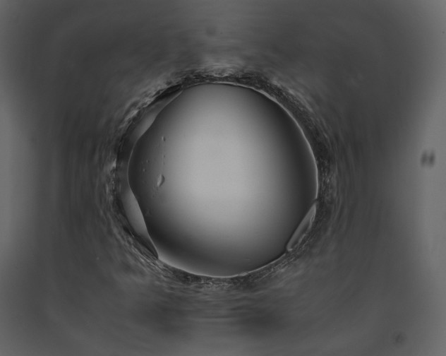 X0000091661349200708231256