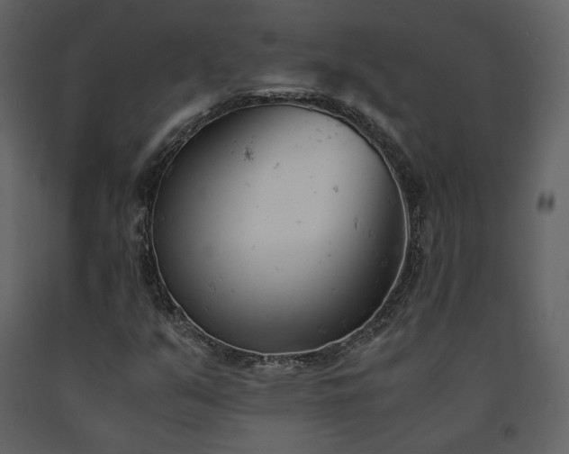 X0000091661351200708231256