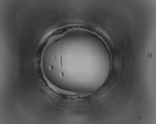 X0000091661352200708231256