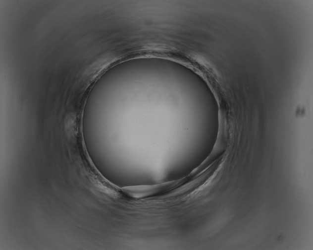 X0000091661353200708231255