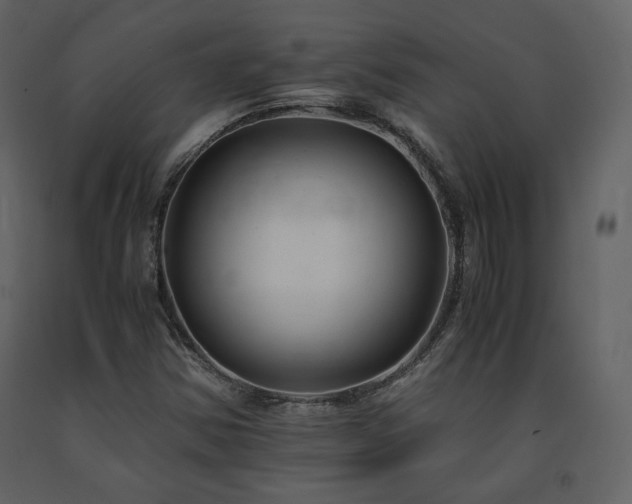 X0000091661354200708231255