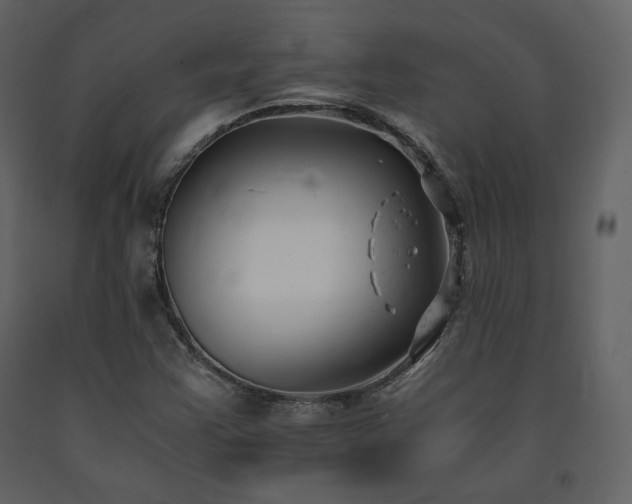 X0000091661355200708231255