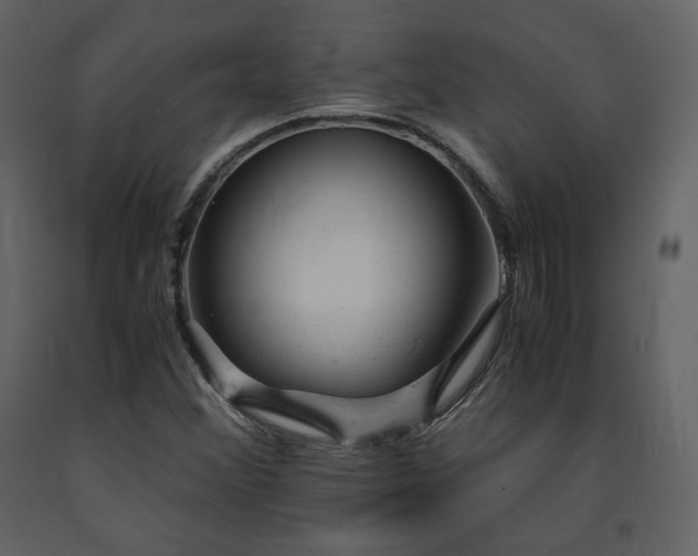 X0000091661356200708231255