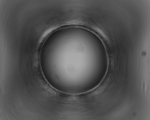 X0000091661358200708231255