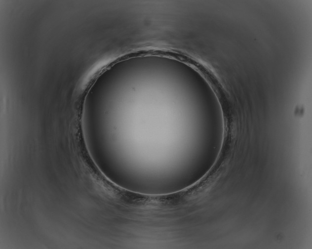 X0000091661359200708231255