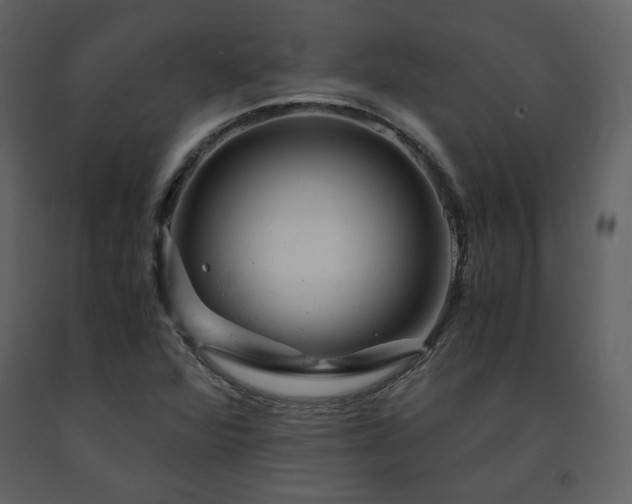 X0000091661360200708231255